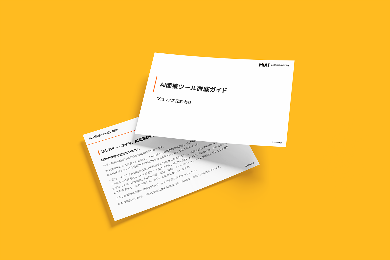 導入ロードマップ資料
